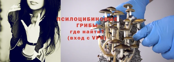 амф Бронницы