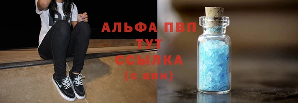 спайс Бородино