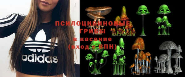 амф Бронницы